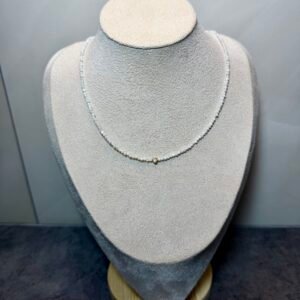 Pagrindinis puslapis vėrinys "sniegas"